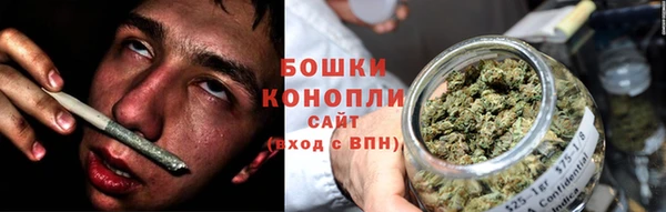 Альфа ПВП Горно-Алтайск