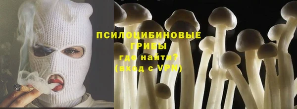 прущая мука Абаза