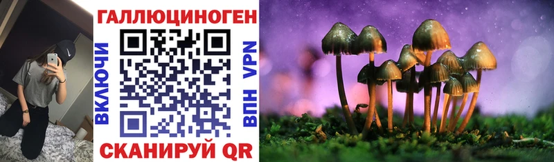 Псилоцибиновые грибы Psilocybe  где купить   Ахтырский 